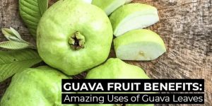 Health Benefits Of Guava Leaves