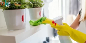 How Hygienic Home Helps You To Keep Healthy