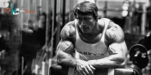 Arnold Press Muscles Exercise
