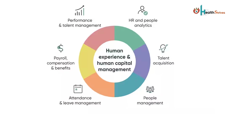 Improving Talent Acquisition With Human Capital Management Solutions